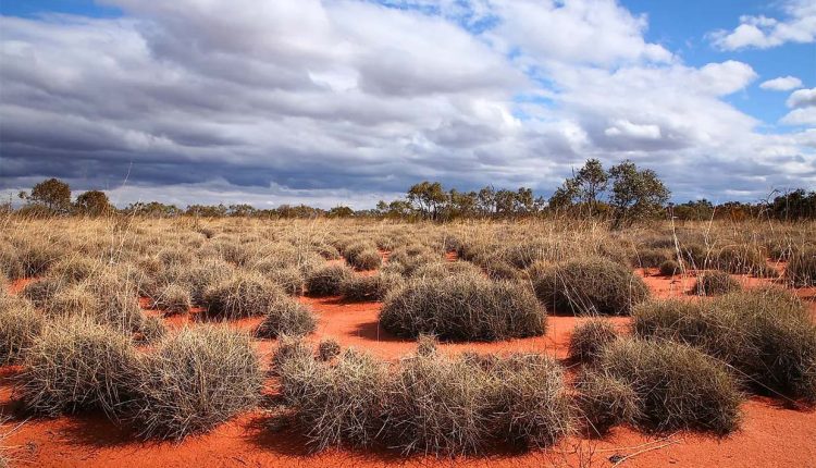 Рельеф Австралии