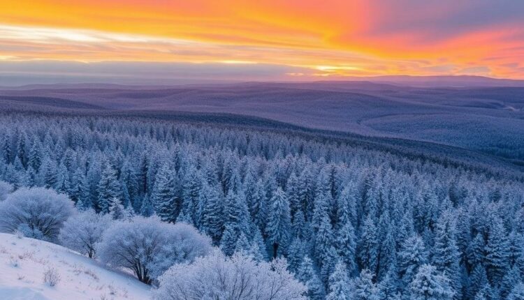 Как пережить зиму в южных штатах Австралии: практический гид по тёплому дому и активной жизни